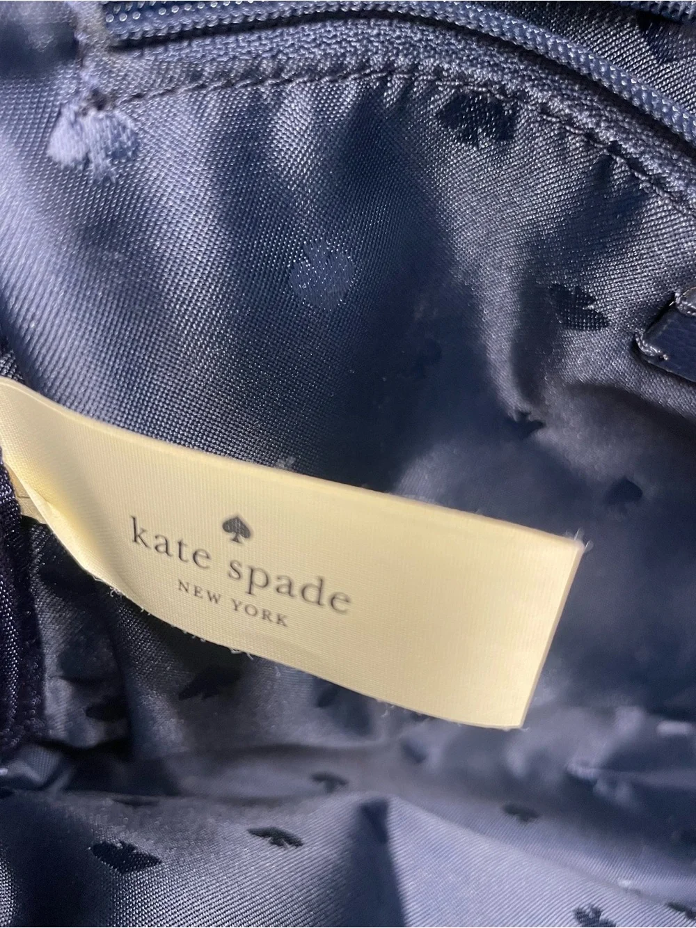 kate spade Dawn Breezy Floral  print mini backpack